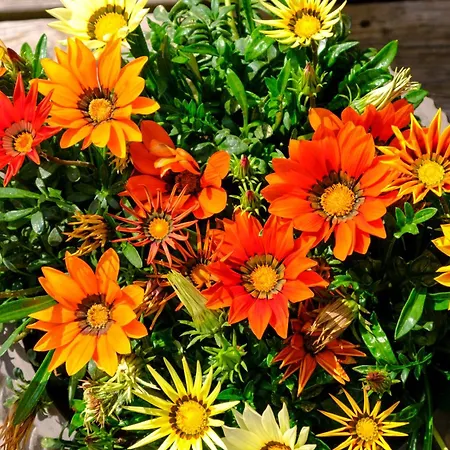 Petersboden Hotel Lech am Arlberg